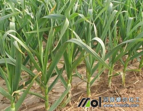 ������޷��ʩˮ�ܷ�