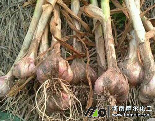 ���������ʩˮ�ܷ�