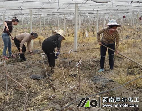 �����＾��@