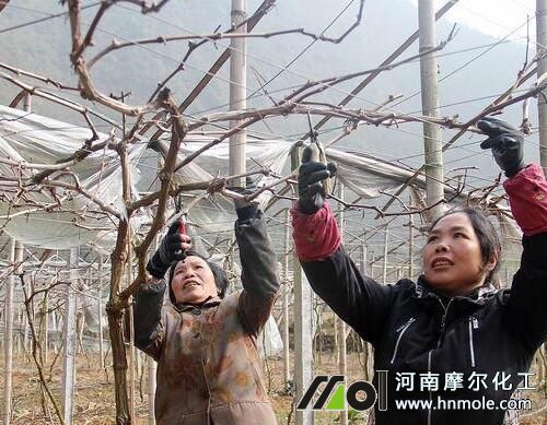 �＾����֦�l�޼�