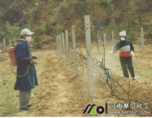 ���ч�ˎ���o(h��)