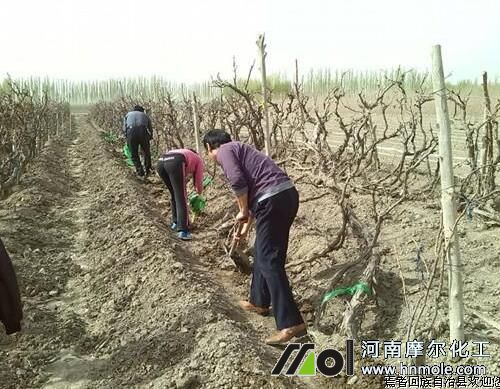 ���ѳ����ϼ�