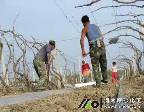 ���ѝ��าĤ