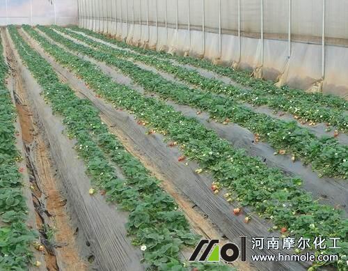 ��ݮˮ�ܷ��÷�����