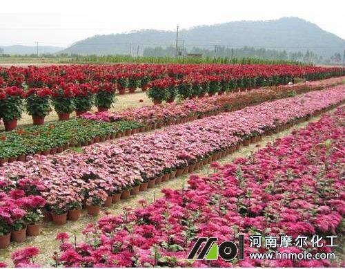 �B(y��ng)��ʩ�ʷ���