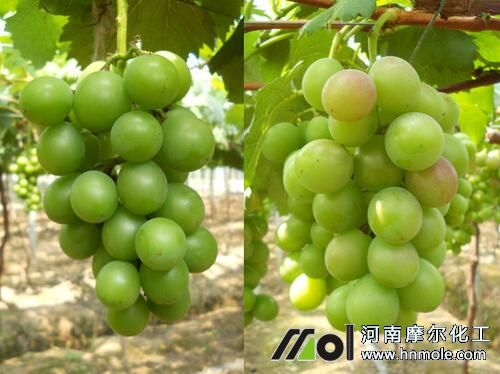 ���ѽY����ˮ�ܷ��x��