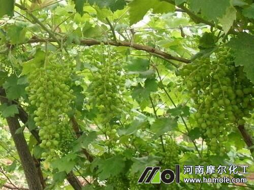 ˮ�ܷ�ʹ�÷���