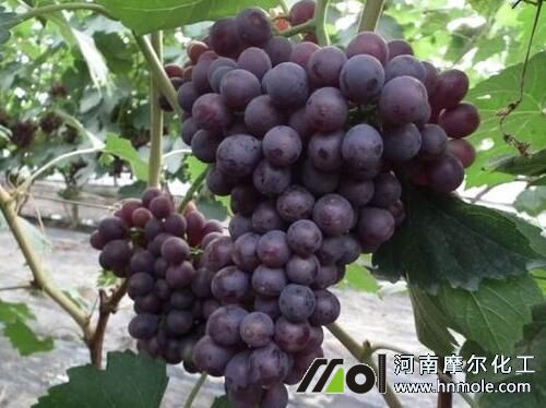 �����Dɫ�ڹ�������