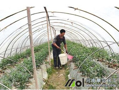 水溶肥使用指南 水溶肥使用指南