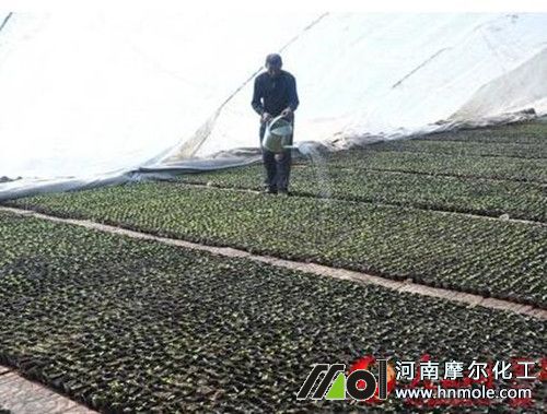 ���ܝ���ˮ�ܷ���