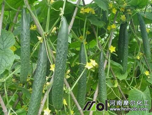 �S��ˮ�ܷ�����