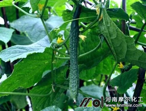 �S��ˮ�ܷ��÷�