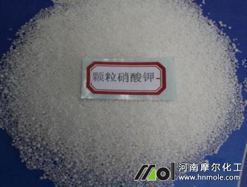 �w�������