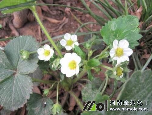 ��ݮ�F(xi��n)����