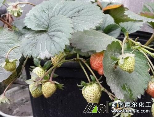 ��ݮ�Y(ji��)����