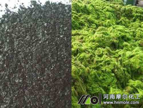 ������Ԡ�