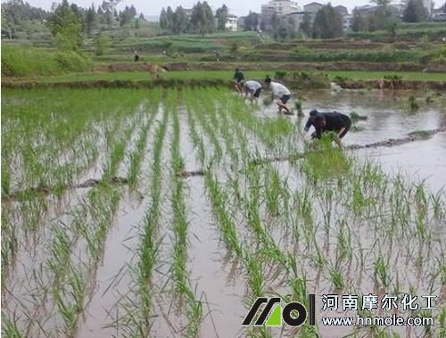 ˮ����ʩ�����