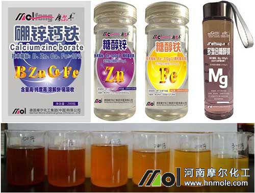 Һ�w�����Ԡ�