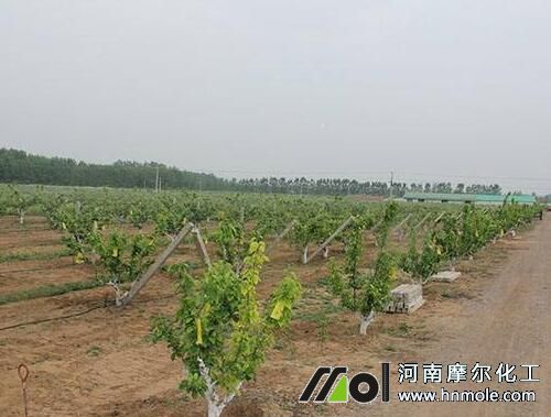 ��������ˮ�ܷ��x��