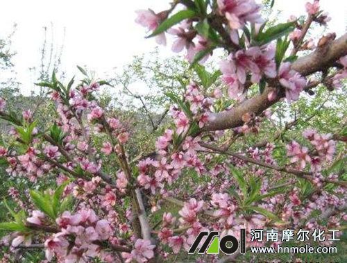 ���仨ǰ׷ʩ����ˮ�ܷ�