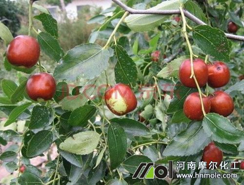 ����Y(ji��)����׷ʩ���ˮ�ܷ�