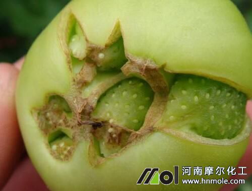 ���ط�ʹ���^(gu��)����(w��n)�}