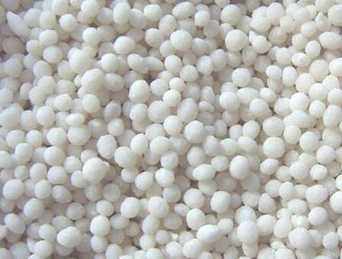 �ͺϷ��w��