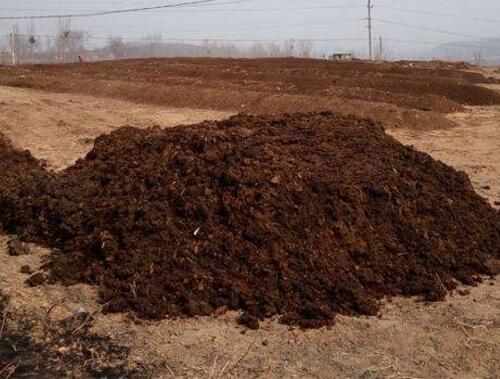 ����ʩ����