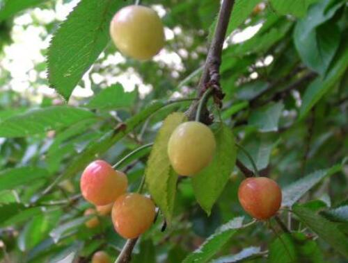 ����ʩ�����