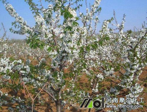 �����_���Y��