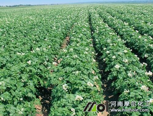 �����l(f��)����׷��