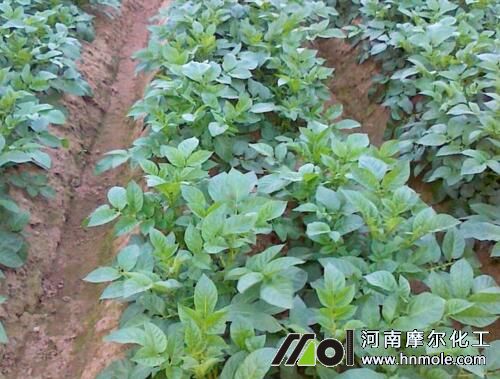 ��������׷��