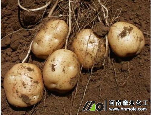 ���������׷��