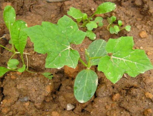 �z����׷��