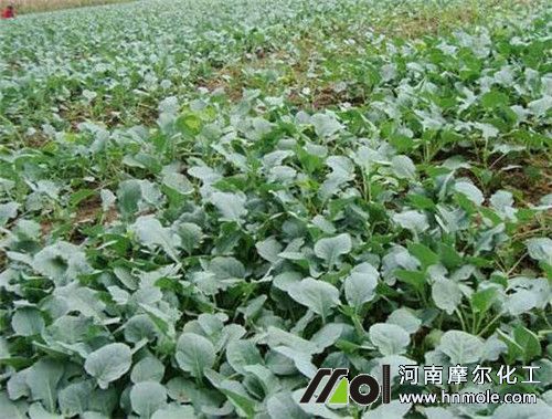 ���m������ʩˮ�ܷ�