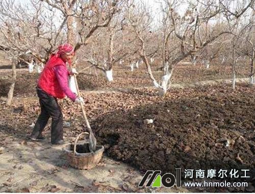 �O����ʩ�׷�