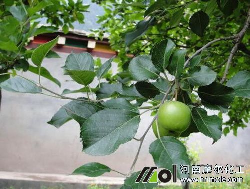 �O���Y��ʩ���ˮ�ܷ�