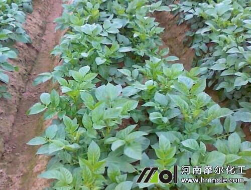 ��������׷ʩˮ�ܷ�