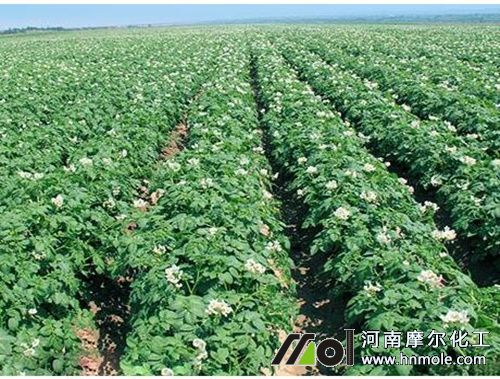 �����l����׷ʩˮ�ܷ�