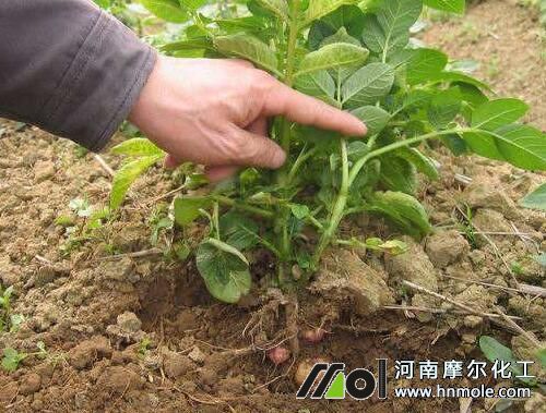 �R����Y����׷ʩ���ˮ�ܷ�