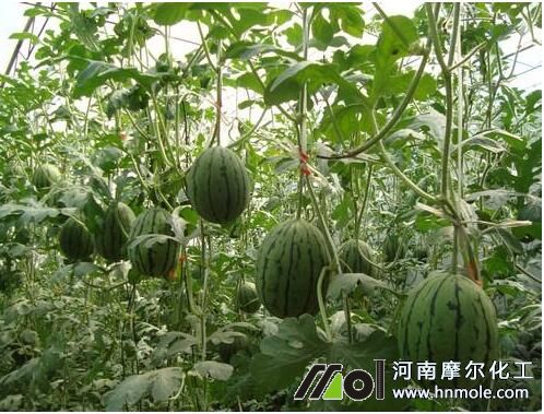 ���������׷���ˮ�ܷ�