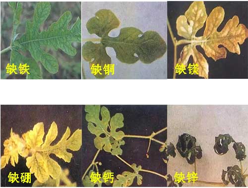 ����ȱ�ر��F�Y��