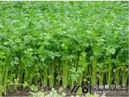 �۲���ʢ���L��