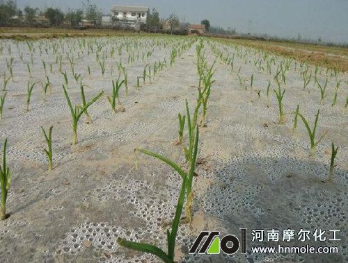 ��������׷��