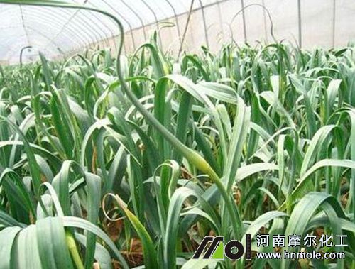 �����޷��׷��