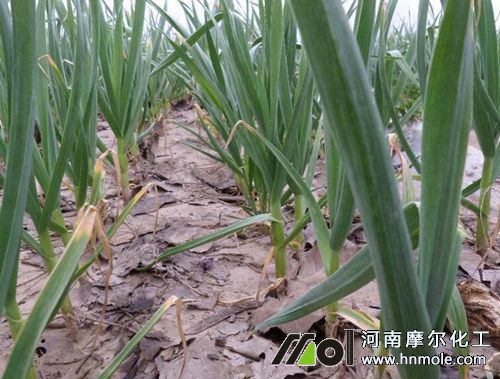 ���ⷵ����׷��