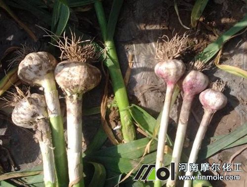 ������^��׷��