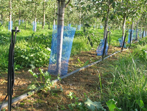 ˮ��һ�w������