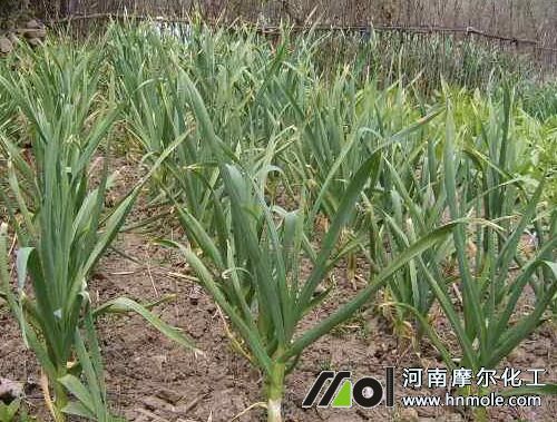 ������������׷��