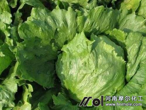 �Y(ji��)�����˰�����׷�ߵ�⛷�